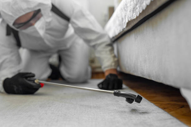 Professional Bed Bug Control technician working in Jewell County County, KS